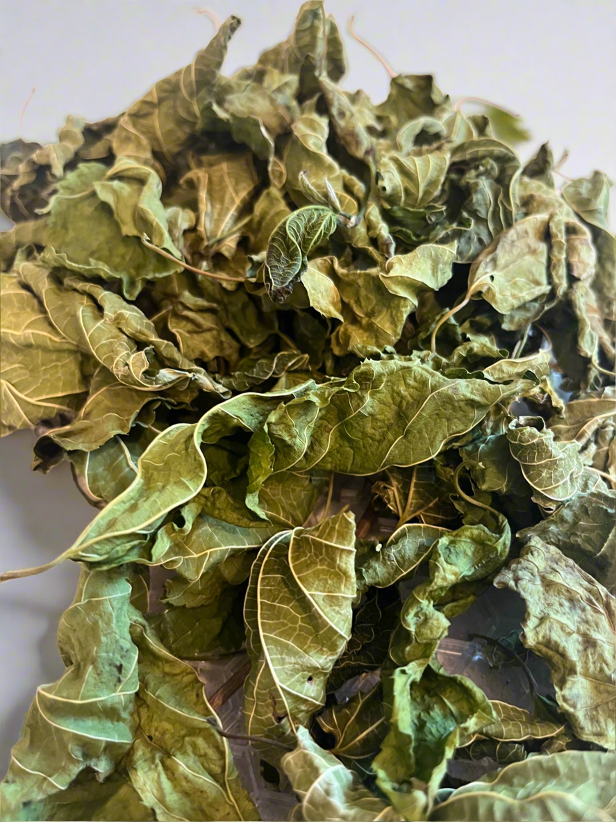 Dehydrated Mulberry Leaves