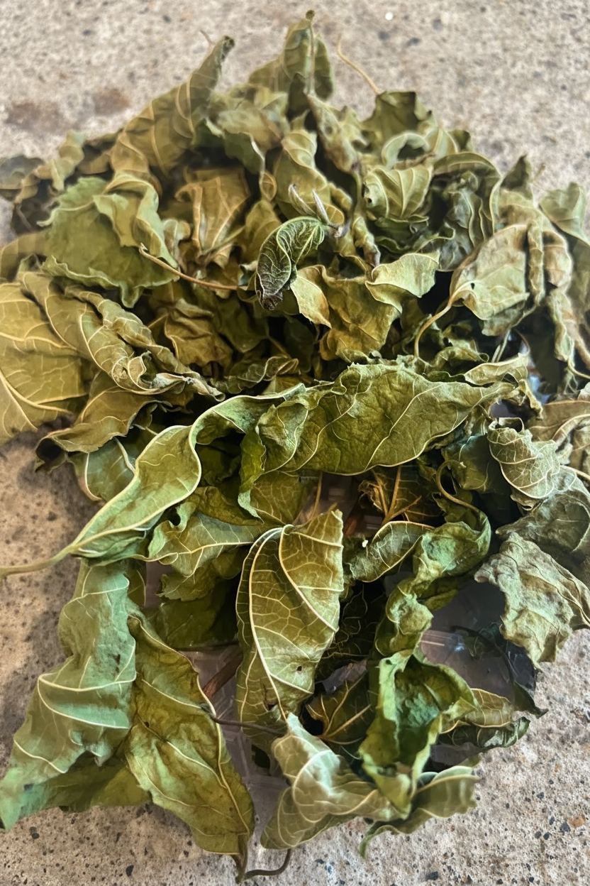 Dehydrated Mulberry Leaves