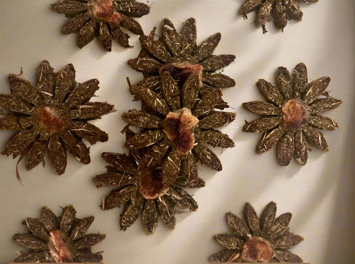 Hoppy Hay Flowers