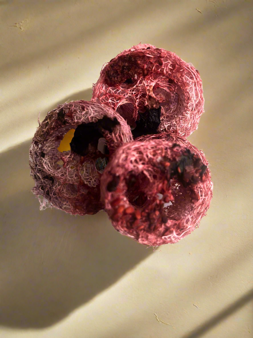 Very Berry Loofah
