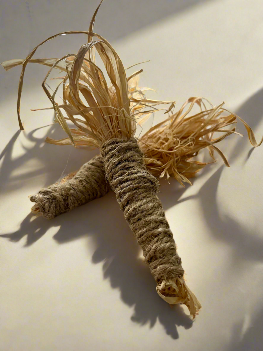 Carrot Enrichment Toy