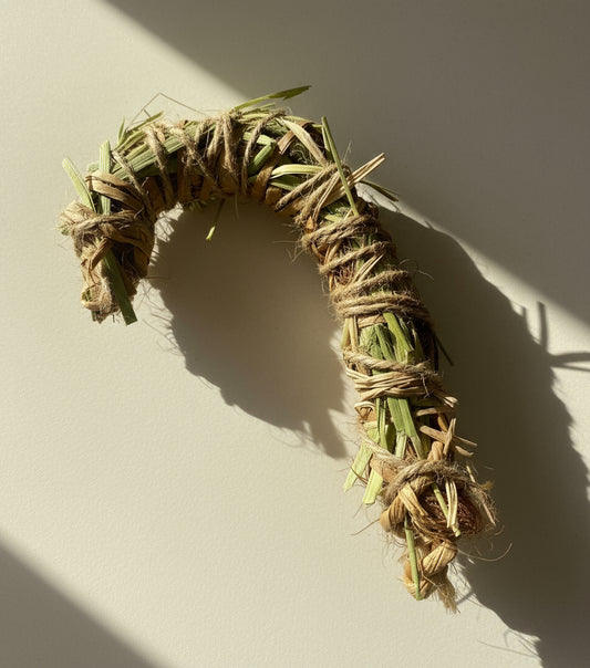 Candy Cane: Enrichment Toy