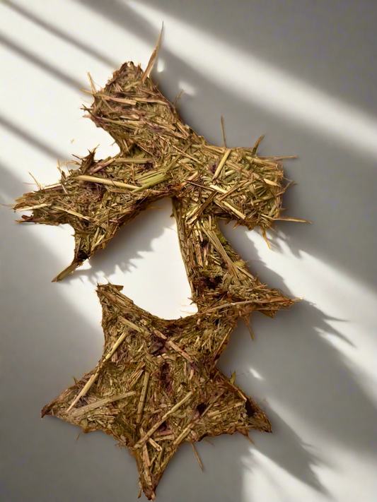 Timothy Christmas Shortbread