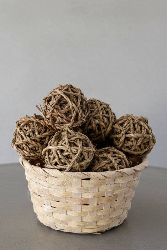 Seagrass Enrichment Ball