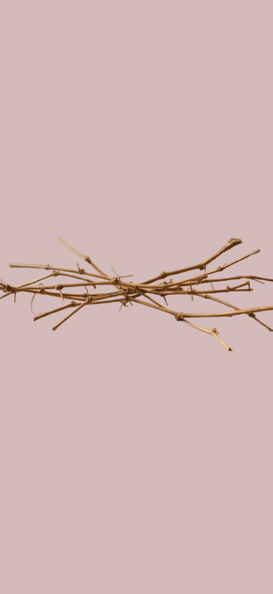Grape Vine Sticks